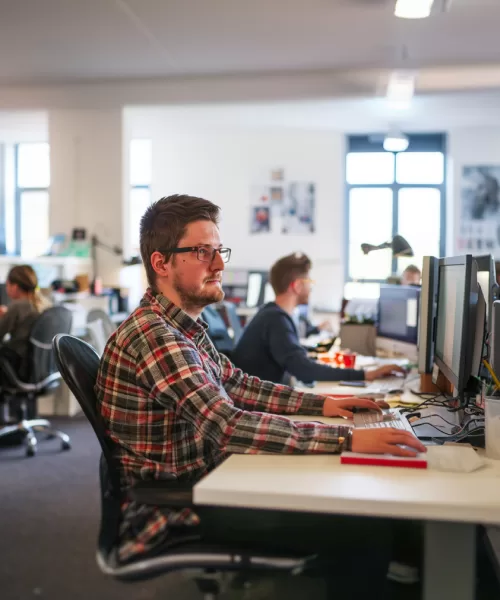 What is Bespoke Software?